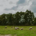 Glamping Szczere Pole Karpacz