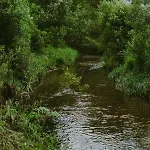Szczere Pole Glamping *