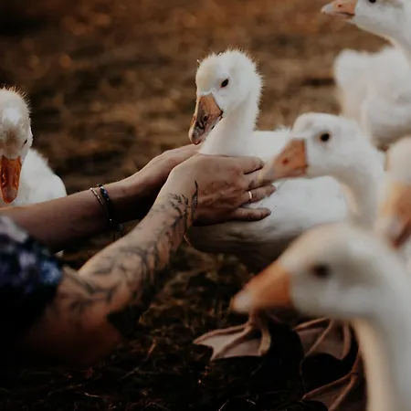 Szczere Pole Campo de lujo