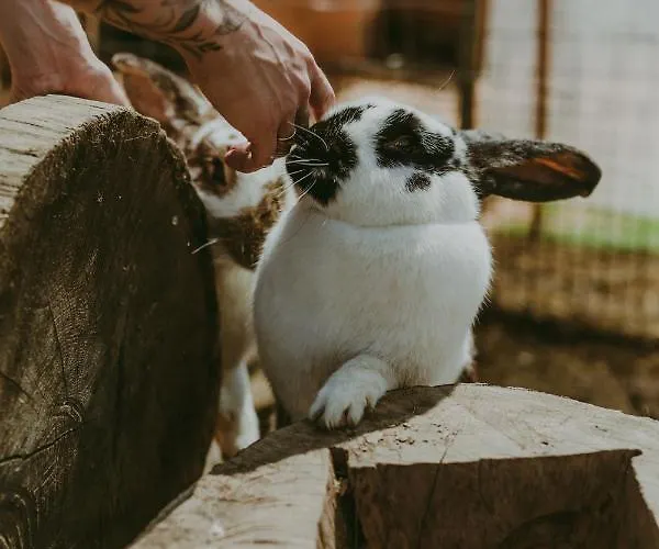 Glamping Szczere Pole Karpacz