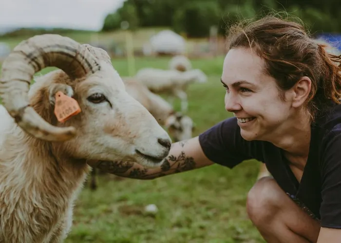 Glamping Szczere Pole