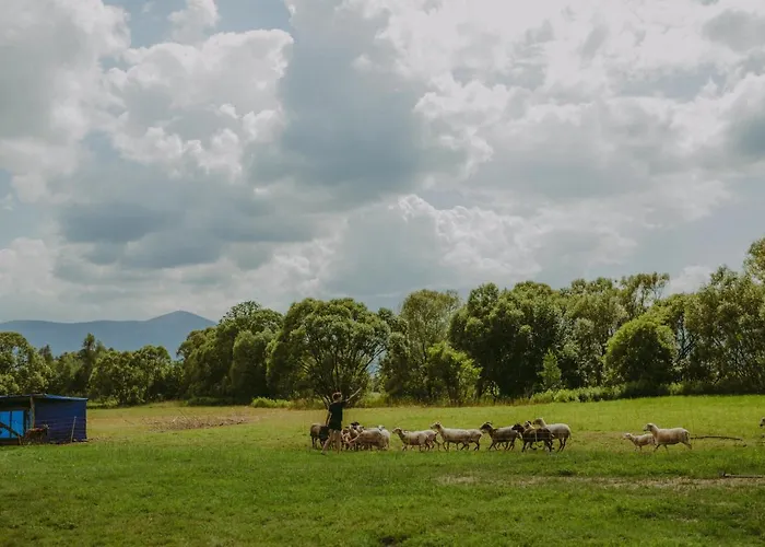 Glamping Szczere Pole *