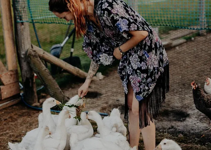 Glamping Szczere Pole Karpacz