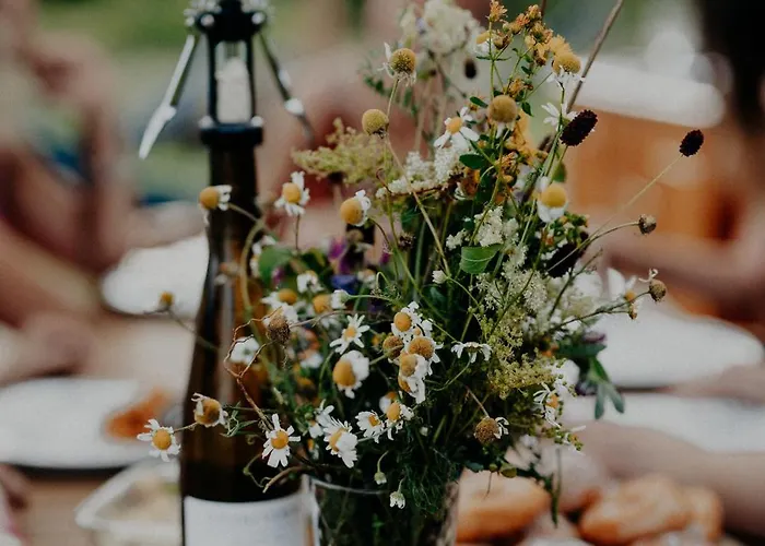 Szczere Pole Glamping Karpacz